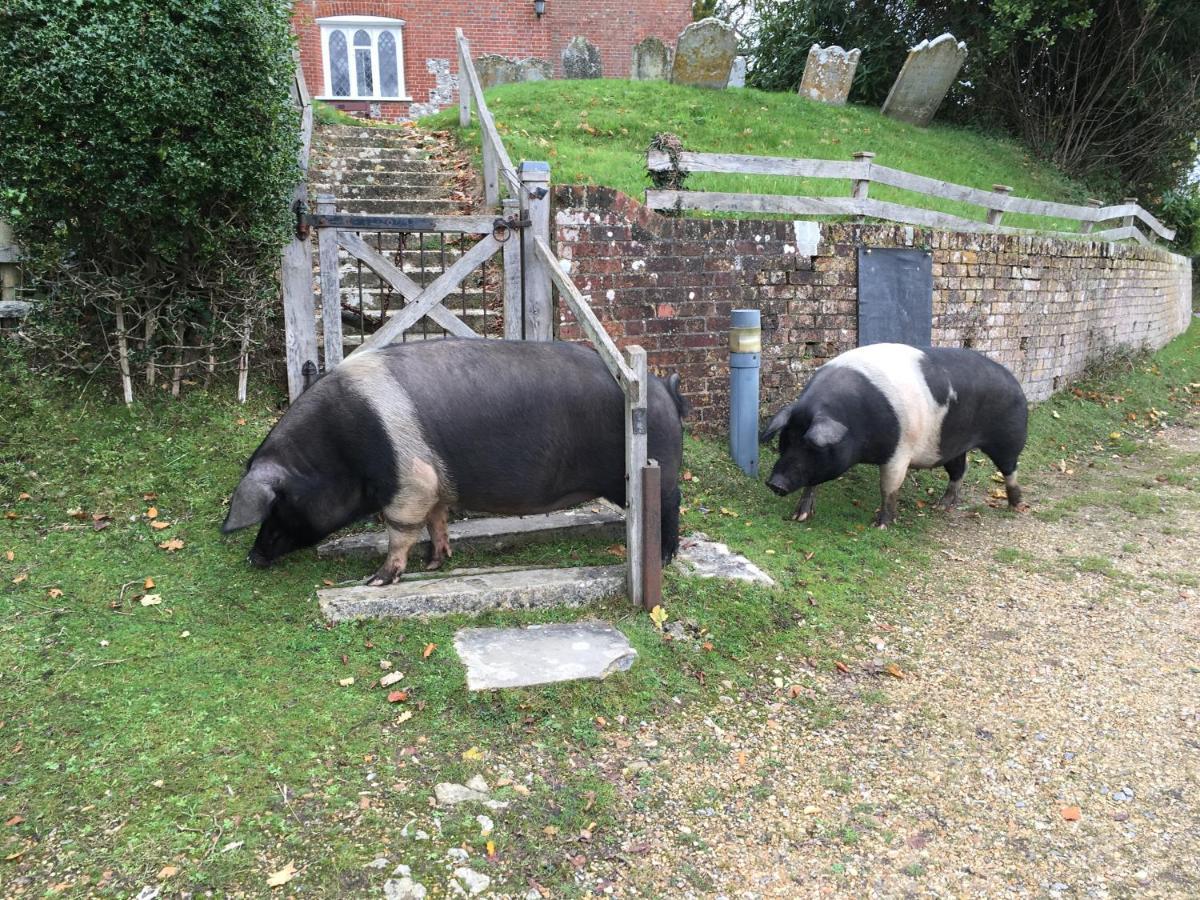 No 64 Bed And Breakfast Lymington Bagian luar foto